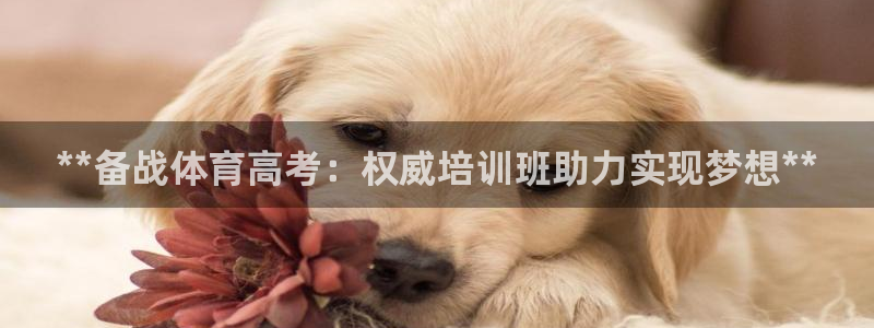 极悦平台注册官方网站下载安卓：**备战体育高考：权威