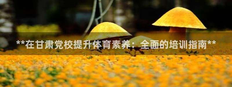 极悦平台安全吗是真的吗