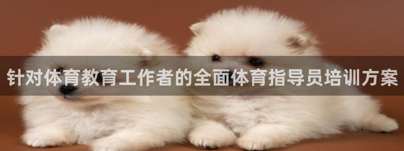 极悦平台登录入口注册：针对体育教育工作者的全面体育指