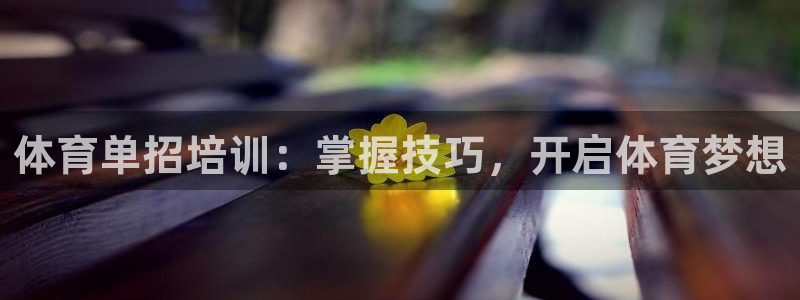 极悦平台注册登录不上：体育单招培训：掌握技巧，开启体