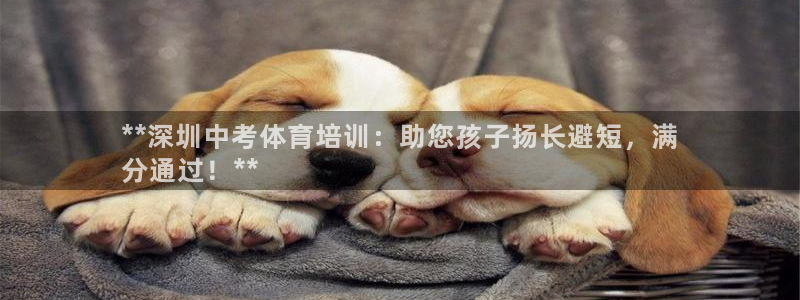 极悦官网旗舰店：**深圳中考体育培训：助您孩子扬长避