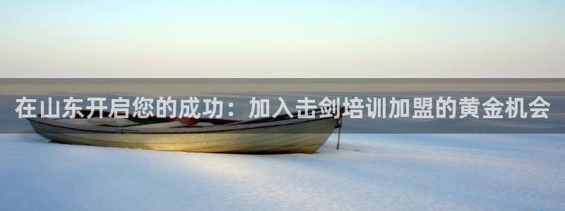 极悦娱乐：在山东开启您的成功：加入击剑培训加盟的黄金