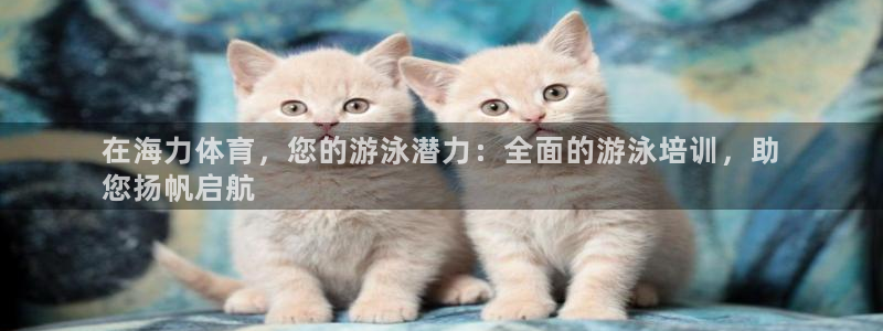 极悦娱乐的创始人背景故事是什么：在海力体育，您的游泳