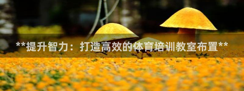 极悦官网登录：**提升智力：打造高效的体育培训教室布