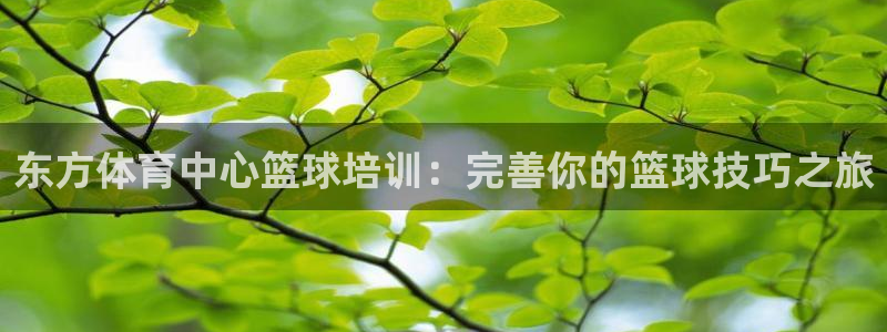 极悦平台客服团队：东方体育中心篮球培训：完善你的篮球