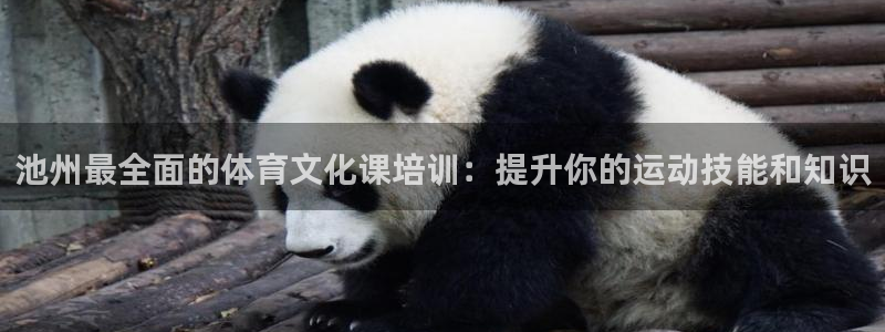 极悦平台德711.112的更新内容：池州最全面的体育