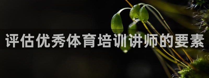 极悦娱乐是资金盘吗：评估优秀体育培训讲师的要素