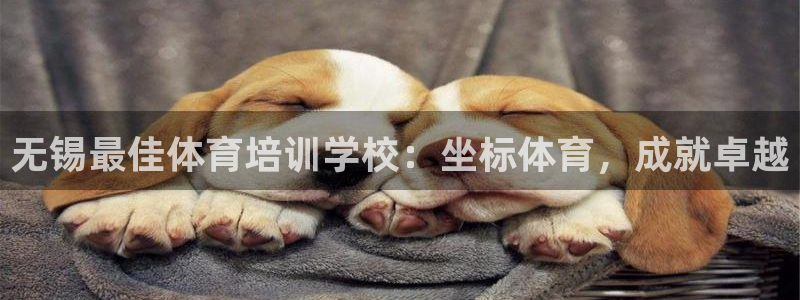 极悦官网注册最新版本更新内容在哪：无锡最佳体育培训学