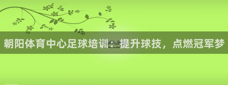 极悦牙膏怎么样好用吗：朝阳体育中心足球培训：提升球技