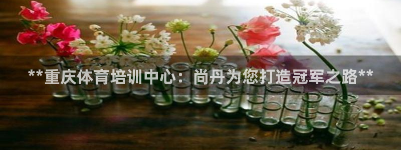 极悦平台城7O777：**重庆体育培训中心：尚丹为您