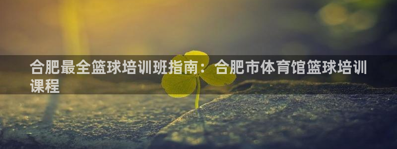 极悦平台官方网站下载安装：合肥最全篮球培训班指南：合