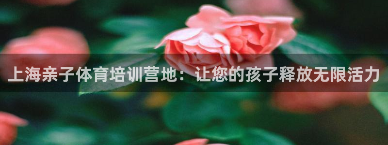 极悦平台注册流程详解：上海亲子体育培训营地：让您的孩