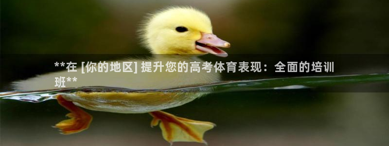 极悦平台注册登录不上：**在 [你的地区] 提升您的