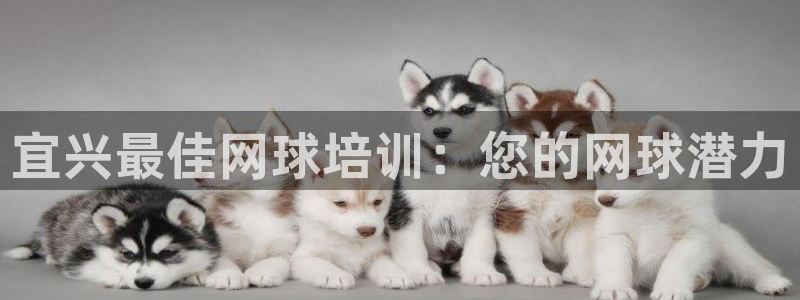 极悦官方网站app下载安装：宜兴最佳网球培训：您的网