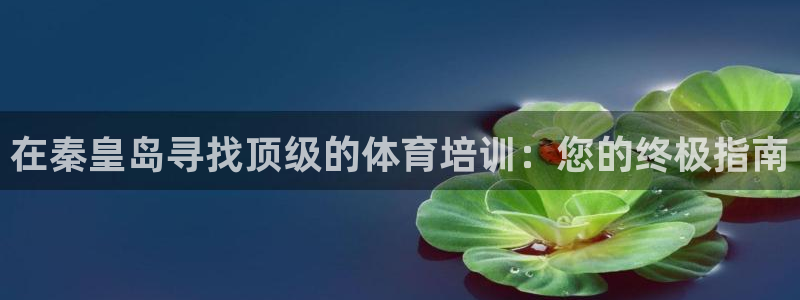 极悦平台注册失败如何解决：在秦皇岛寻找顶级的体育培训