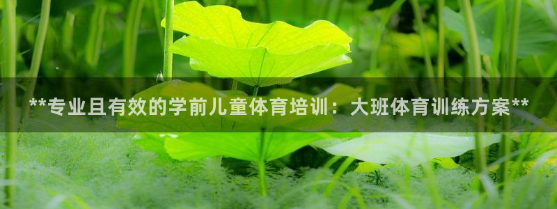 极悦平台用户反馈和反馈：**专业且有效的学前儿童体育
