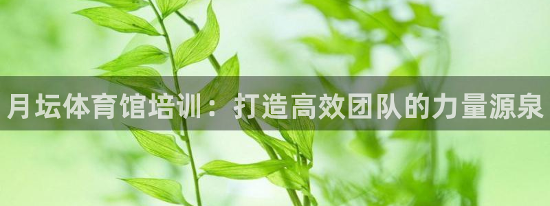 极悦娱乐股东名单