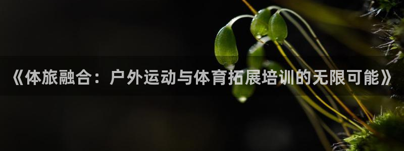 极悦娱乐贴吧百度