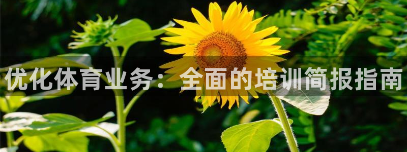 加盟极悦教育：优化体育业务：全面的培训简报指南