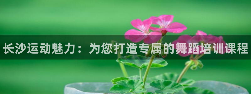 极悦平台登录不进去怎么回事