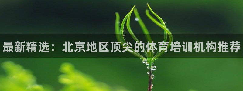极悦平台官网登录入口手机版