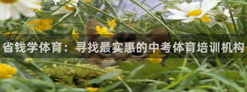 极悦娱乐创始人背景故事介绍：省钱学体育：寻找最实惠的