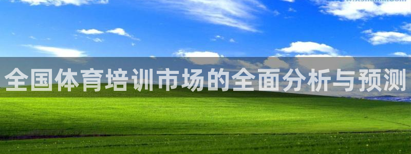 极悦平台注册登录不上：全国体育培训市场的全面分析与预测