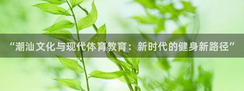 极悦平台注册用户名生成器是什么：“潮汕文化与现代体育