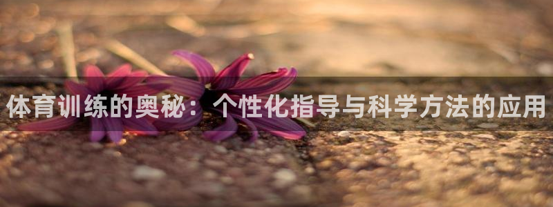 极悦官网首页登录入口：体育训练的奥秘：个性化指导与科