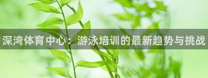 极悦官网：深湾体育中心：游泳培训的最新趋势与挑战