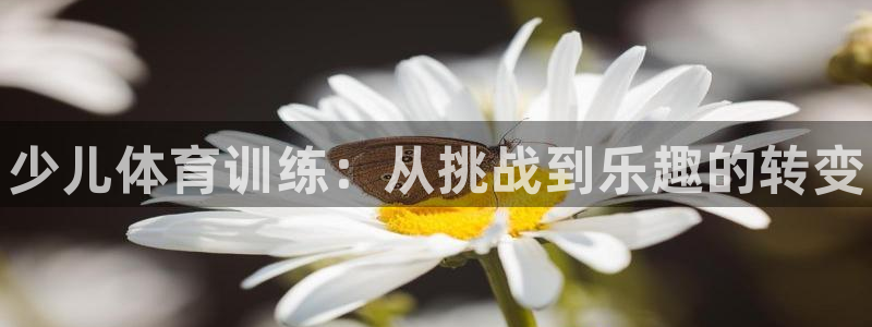 极悦平台官网登录入口网址：少儿体育训练：从挑战到乐趣的转变