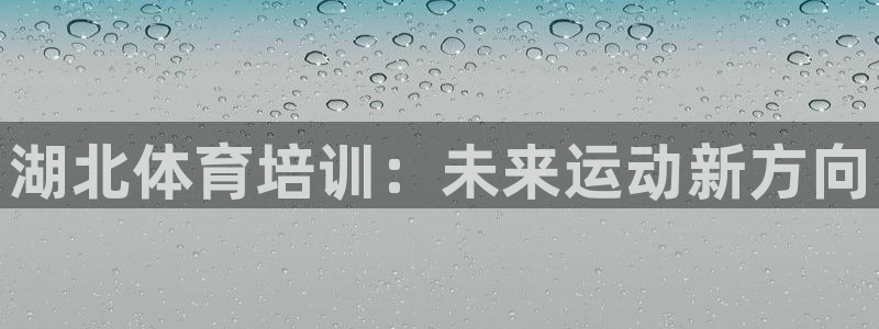 极悦平台注册官方网站下载安卓版：湖北体育培训：未来运