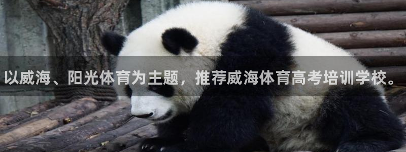 极悦平台和蓝狮平台区别在哪：以威海、阳光体育为主题，推荐威海