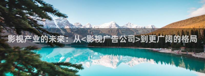 真不卡影院电视剧：影视产业的未来：从<影视广告公司>到更广阔的格局