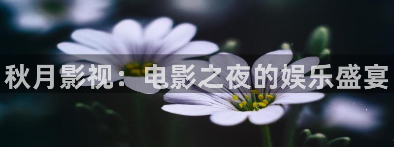 手机看片真不卡影院：秋月影视：电影之夜的娱乐盛宴