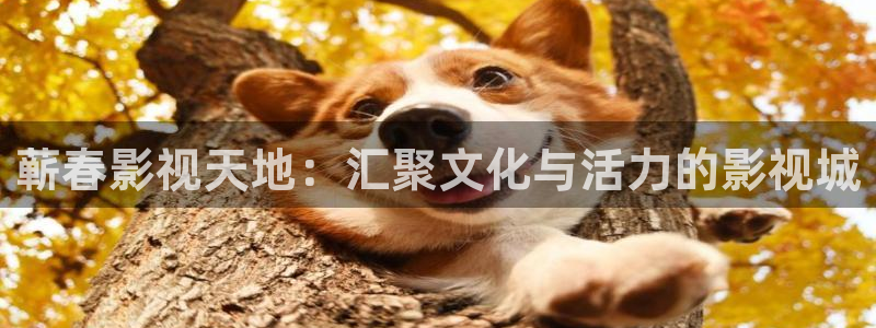 偷偷藏不住真不卡影院：蕲春影视天地：汇聚文化与活力的影视城