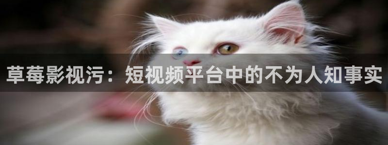 真不卡影院下载：草莓影视污：短视频平台中的不为人知事实