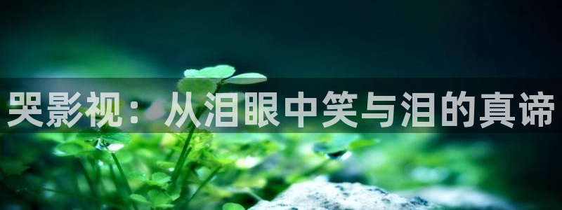 真不卡影视app软件下载