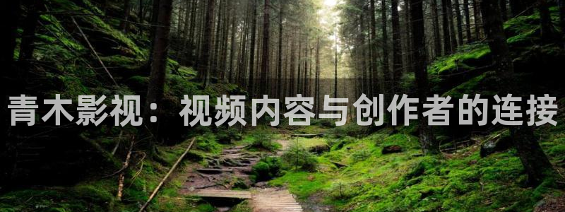 真不卡影院伦理：青木影视：视频内容与创作者的连接