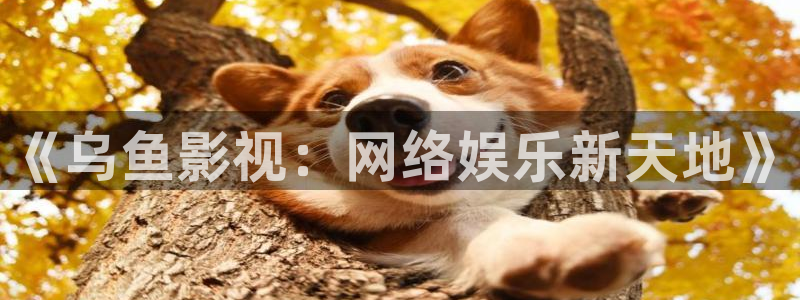 真不卡影院吧：《乌鱼影视：网络娱乐新天地》